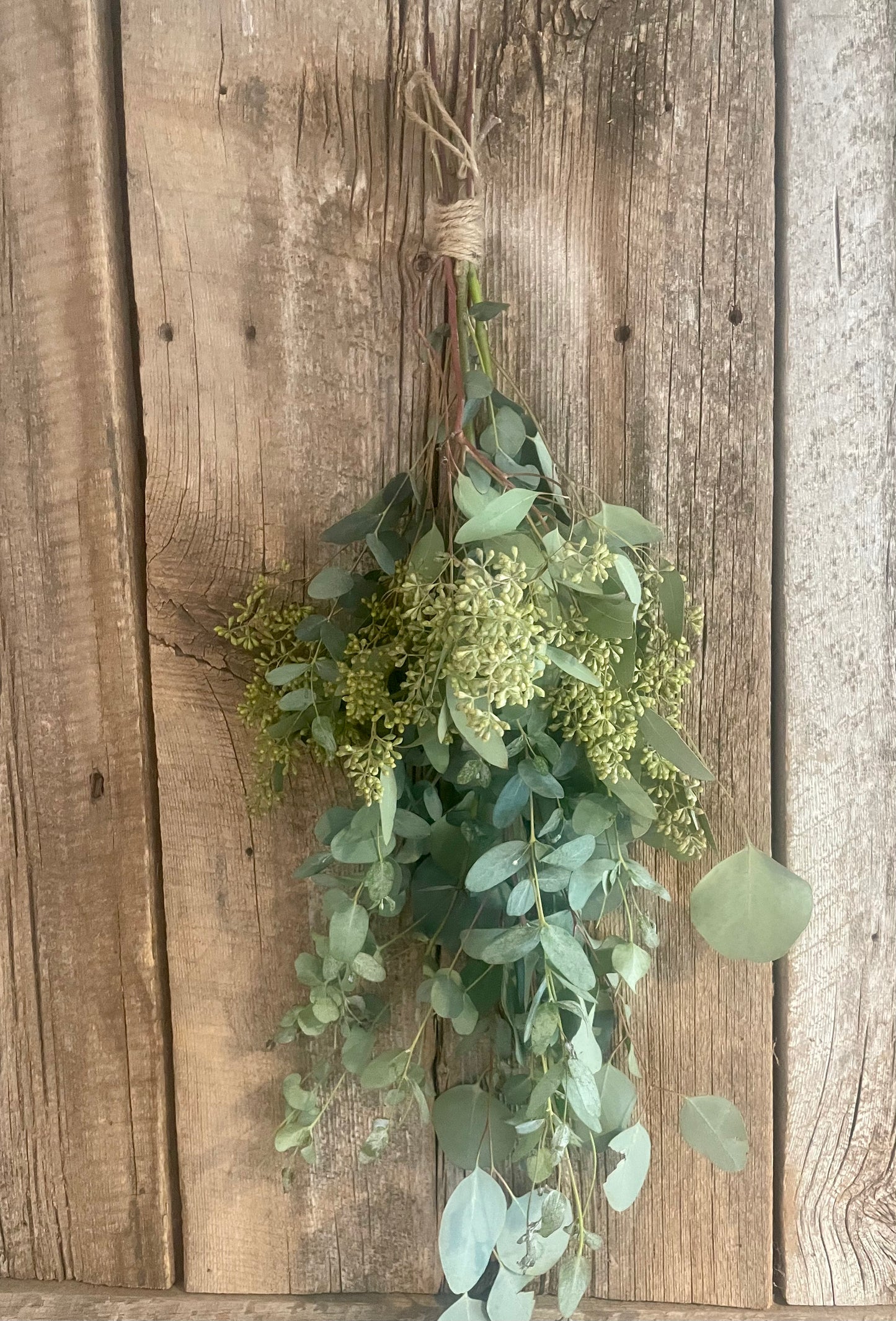 Eucalyptus Shower Bundle