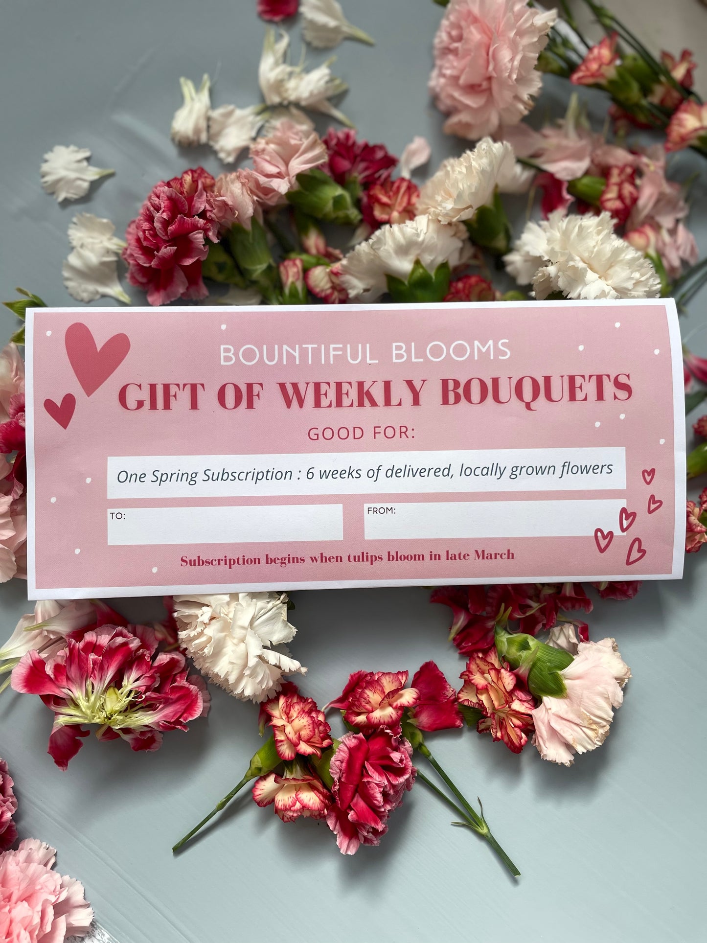 Spring Subscription Gift Certificate -6 weeks of our best Blooms