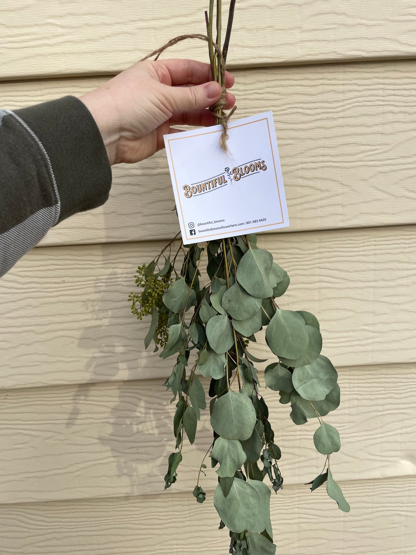 Eucalyptus Shower Bundle