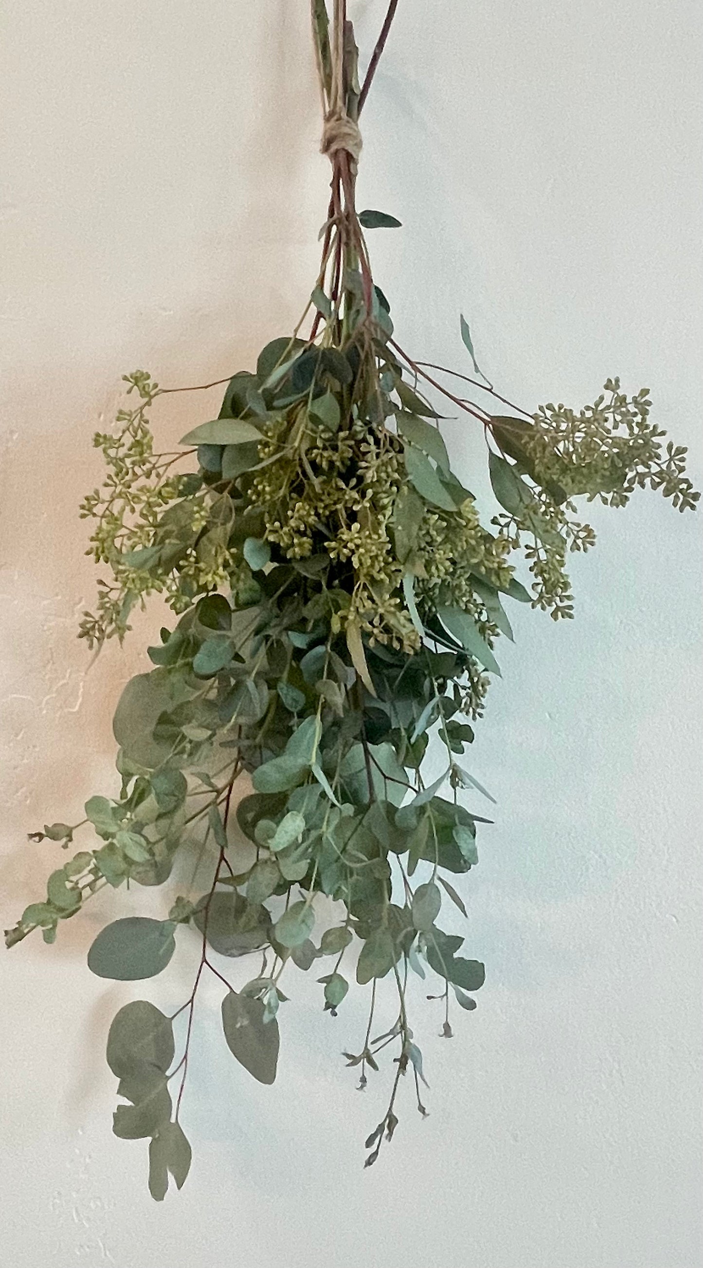 Eucalyptus Shower Bundle