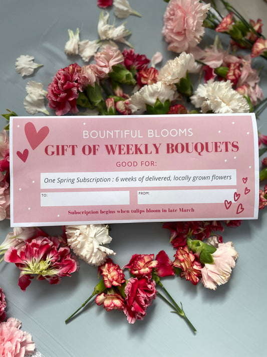 Spring Subscription Gift Certificate -6 weeks of our best Blooms